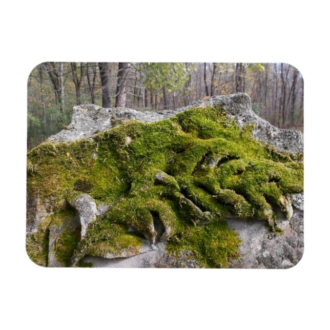 Mossy Broken Headstone Magnet (Horisontell)