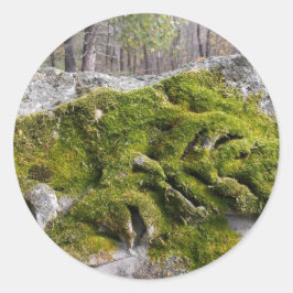 Mossy Broken Headstone Runt Klistermärke