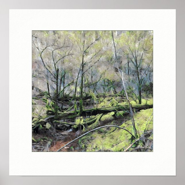 Mossy Forest Poster (Framsidan)