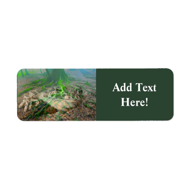 Mossy Frog Label Returadress Etikett (Framsidan)