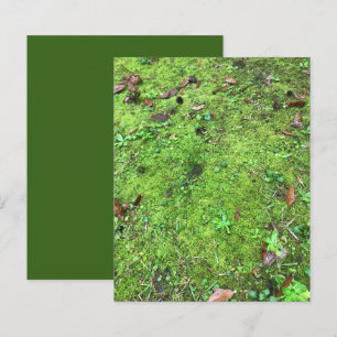 Mossy Grönt Woodlands Scrapbook Papper