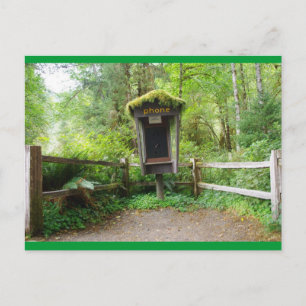 Mossy Mobil Booth - Hoh Rain Forest Vykort