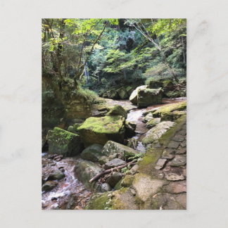 Mossy Mountain Stream in a Japanese Forest Jigsaw Vykort