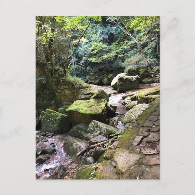 Mossy Mountain Stream in a Japanese Forest Jigsaw  Vykort (Framsida)