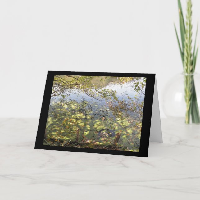 Mossy Pond Greeting Card Kort (Framsida)