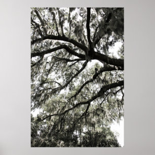 Mossy Struktur 1 Poster