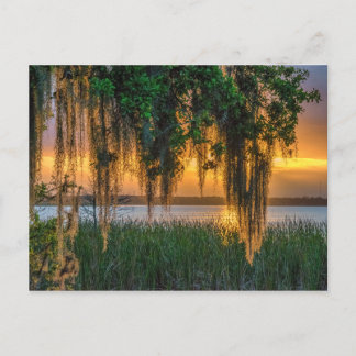 Mossy Sunrise Vykort