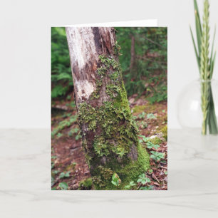 Mossy Träd-kort Helgkort