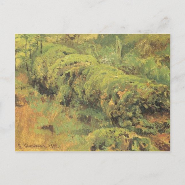 Mossy Wood av Ivan Shishkin Vykort (Framsida)