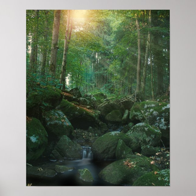 Mossy Woodland Stream Poster (Framsidan)