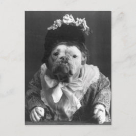 Moster Maude Hund Vykort