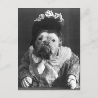 Moster Maude Hund Vykort