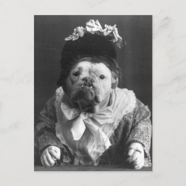 Moster Maude Hund Vykort (Framsida)