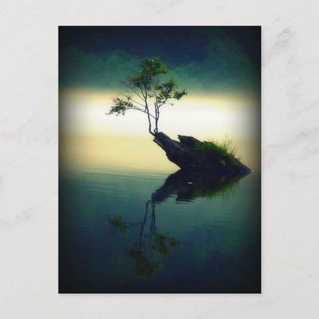 Mot alla ODDS - vacker fotografi av Träd Vykort (Framsida)