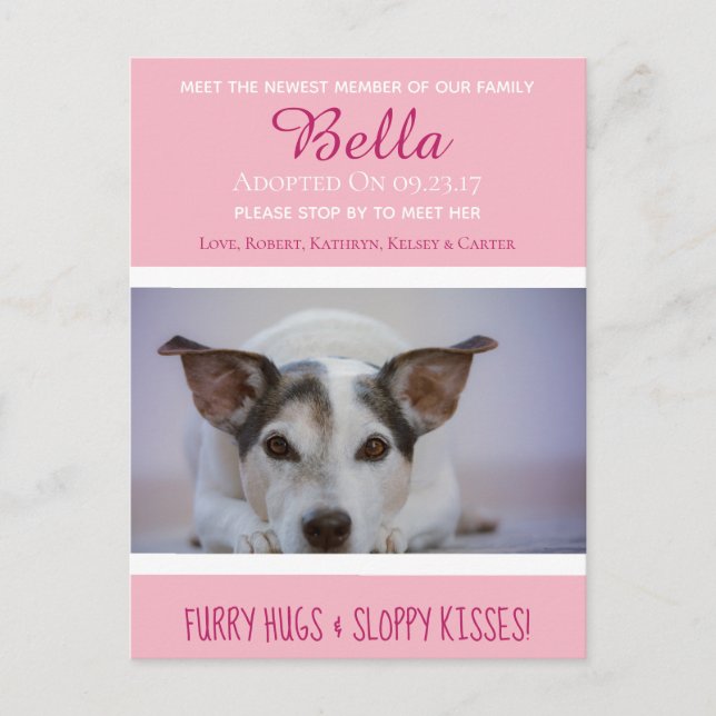 Möt den nyaste ledamoten "Nytt sällskapsdjur" Medd Vykort (Framsida)