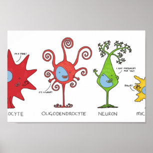 Möt dina hjärnceller WIDE Poster