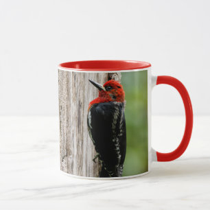Möt en rödbrustad sapsucker mugg