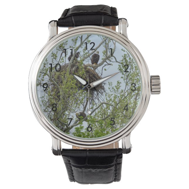Möt familjen Eagle Armbandsur (Framsida)