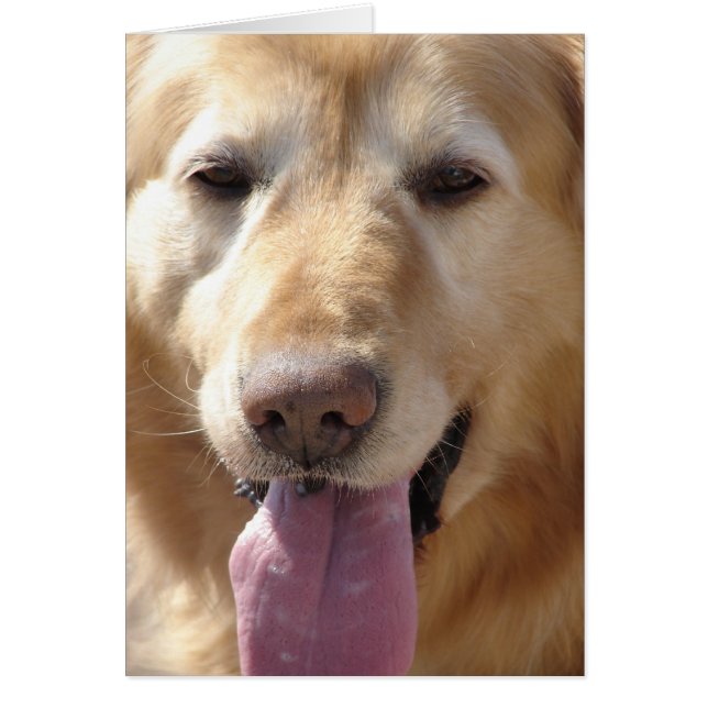 Möt Golden Hälsningskort (Framsidan)