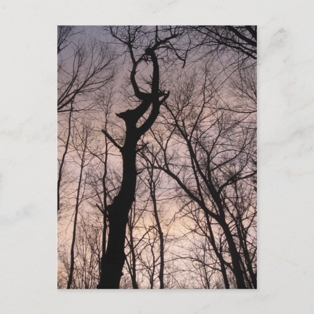 mot himlen vykort (Framsida)