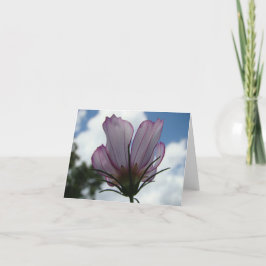 Mot himmelblommigten Notecard Kort