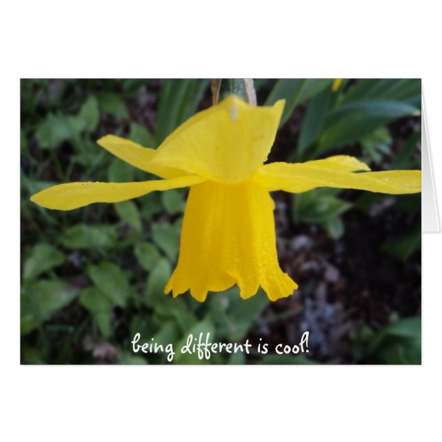 Mot kornen är det okej OBS kort (Framsidan Horizontal)