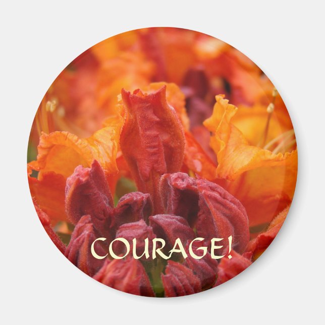 MOT MAGNET Motivationsmagnet Kontorspresenter (Framsidan)