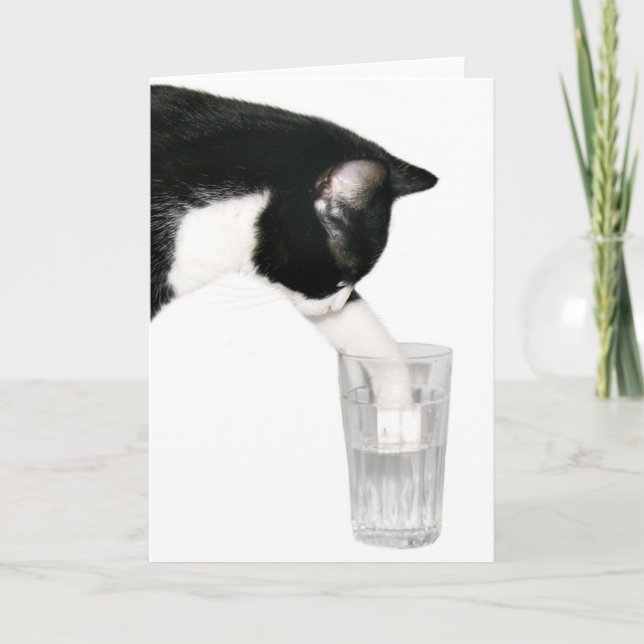 Möt mig för drinkar kort (Framsida)