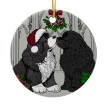 Möt mig under mistletoe Newfoundland