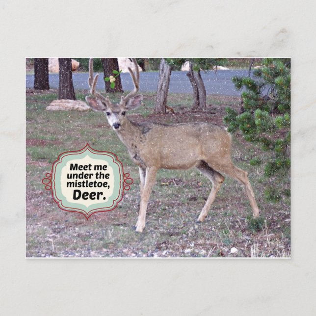 Möt mig under Mistletoe Vykort (Framsida)