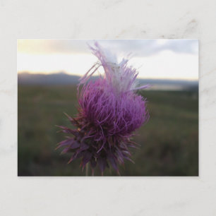 Mot spannmål vykort