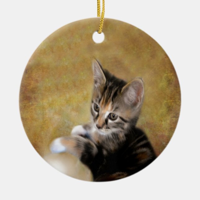 Möt Tiger Julgransprydnad Keramik (Framsidan)