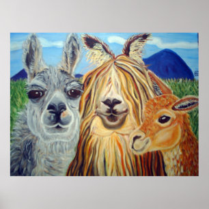 MÖTA LLAMAS:LLAMA,ALPACA,VICUNA!!!!! POSTER