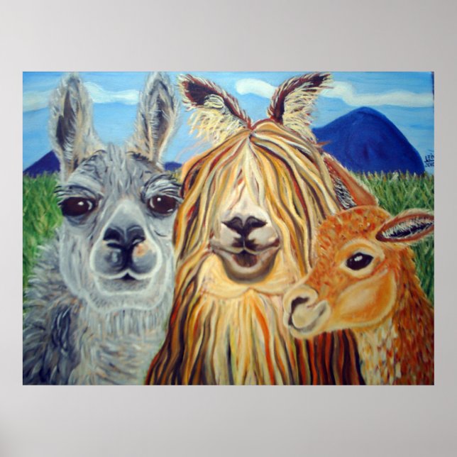 MÖTA LLAMAS:LLAMA,ALPACA,VICUNA!!!!! POSTER (Framsidan)
