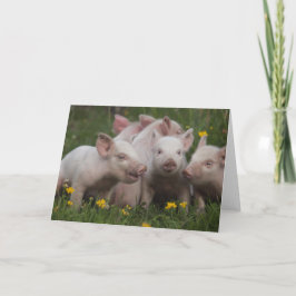 Möte av de tre lite grisarna kort