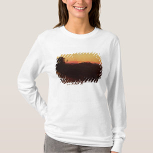 Möte av Jacob och Esau T-shirt