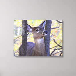 Möte i hjort i Skogen Canvastryck