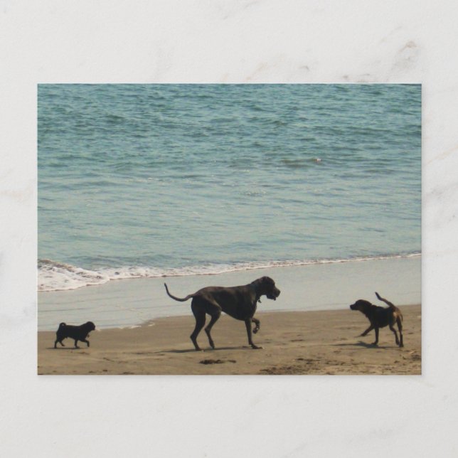 Möte och välkomnande vykort (Framsida)