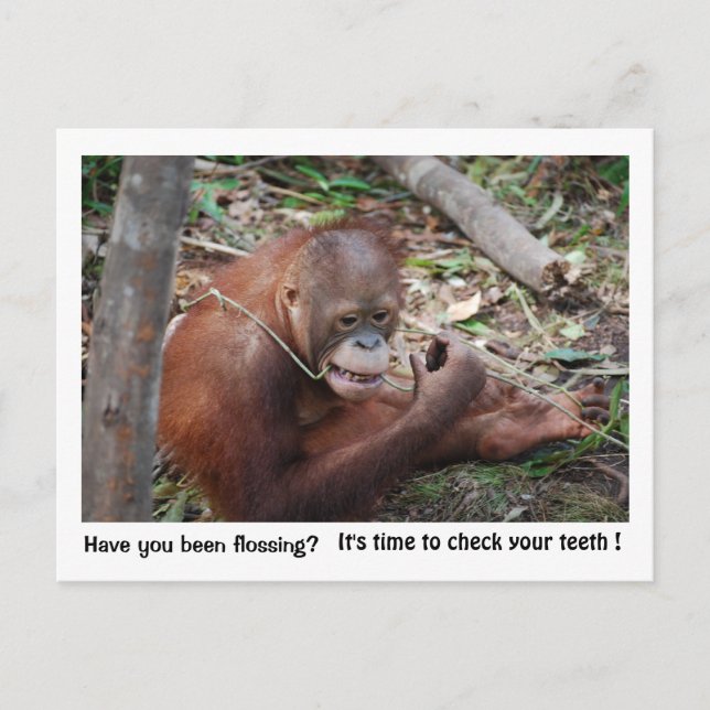 Möte påminnelse om tandläkare vykort (Framsida)
