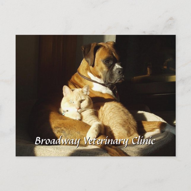 Möte vykort för hund och katt (Framsida)