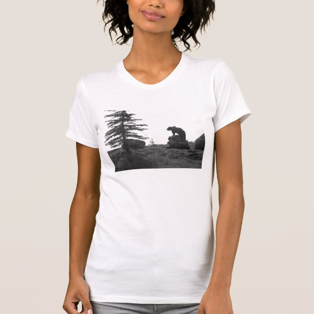 MÖTEN FÖR MONTANA GRIZZLYBJÖRN T-SHIRT (Framsida)
