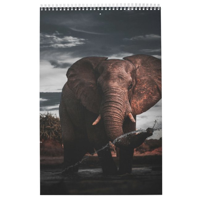 Möten i Afrikans Vild-Kungariket, Kalender (Omslag)