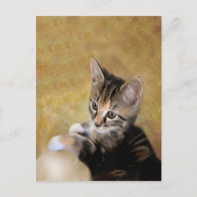 Möter Tiger Vykort (Framsida)