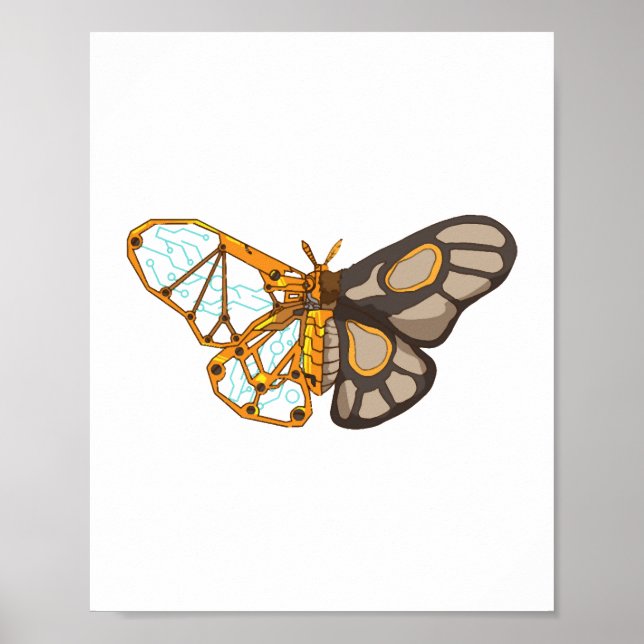 Moth Butterfly Dragonfly Insekt Poster (Framsidan)