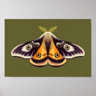 Moth Insekt Art Goblincore Saturnia Witchy Grönt Poster
