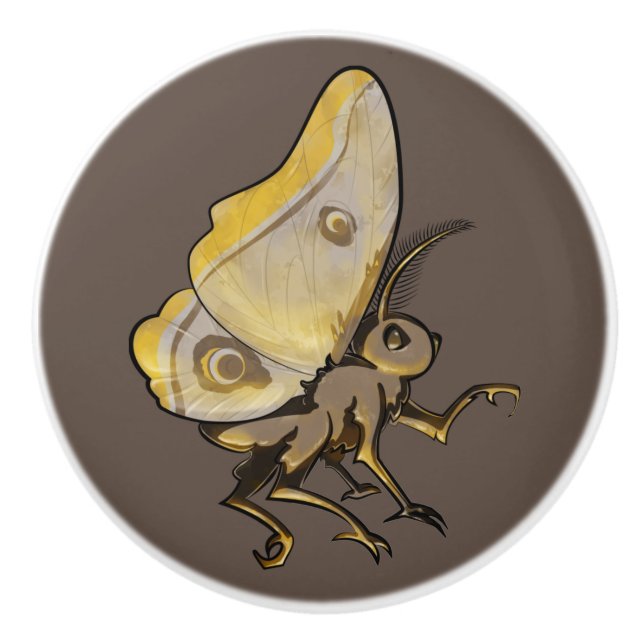 Moth Knopp (Framsidan)