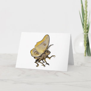 Moth Kort