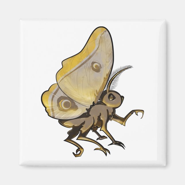 Moth Magnet (Framsidan)