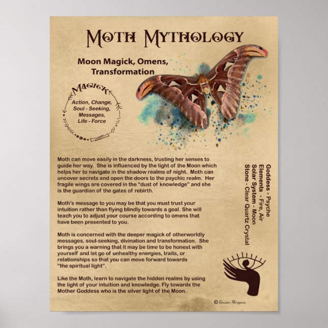 MOTH MYTHOLOGY POSTER (Framsidan)