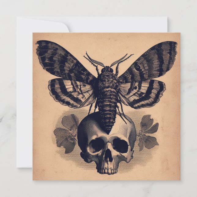 Moth on Skull Antique Goth Horror Illustration Kort (Framsida)